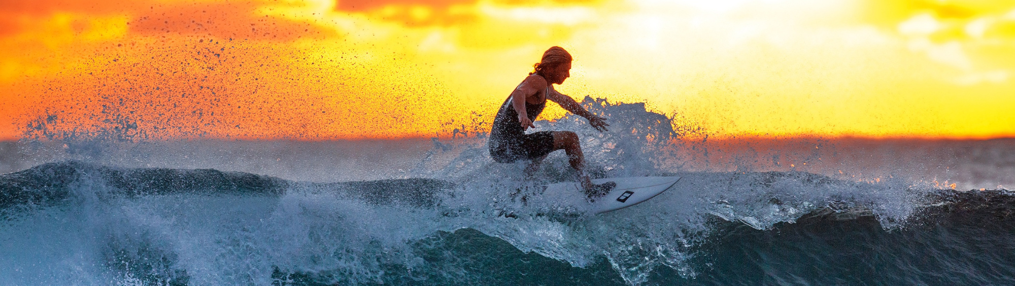 Unleash Your Inner Explorer